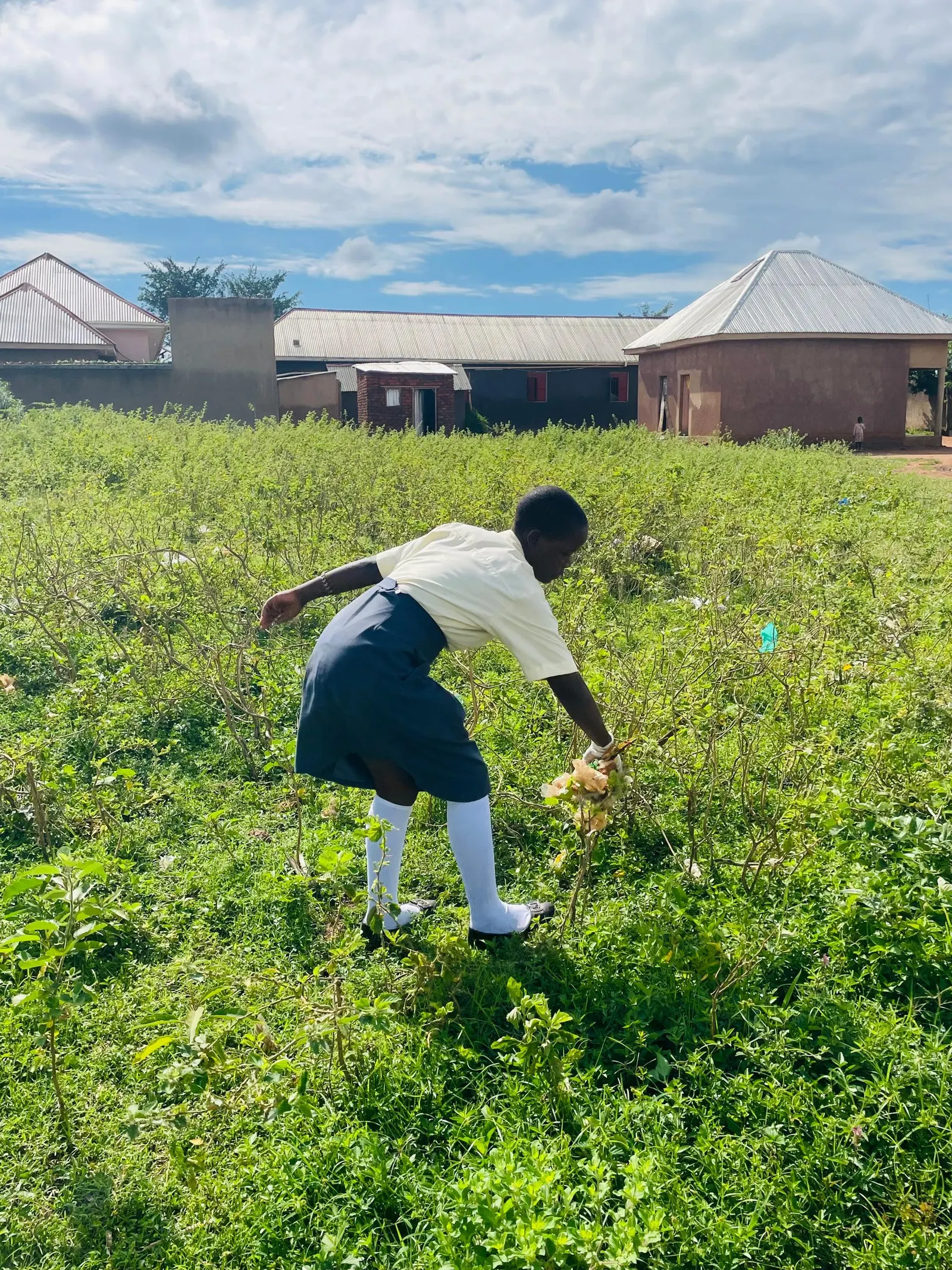 A student bends over a row of crops in the school garden